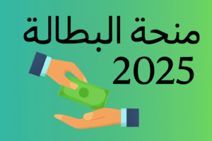 موقع منحة البطالة minha anem dz